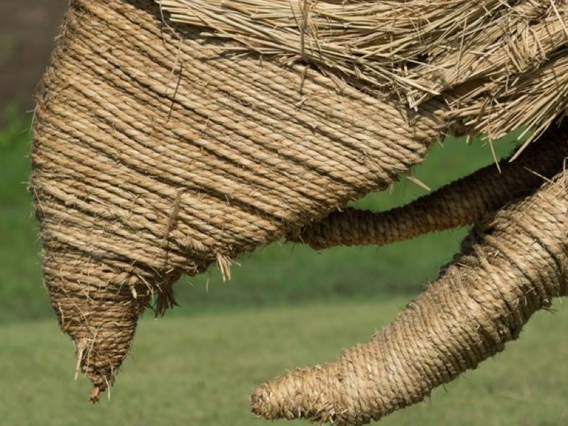 Illustration for article titled Straw Dinosaurs Appear in Japanese Fields, Try To Eat Humans